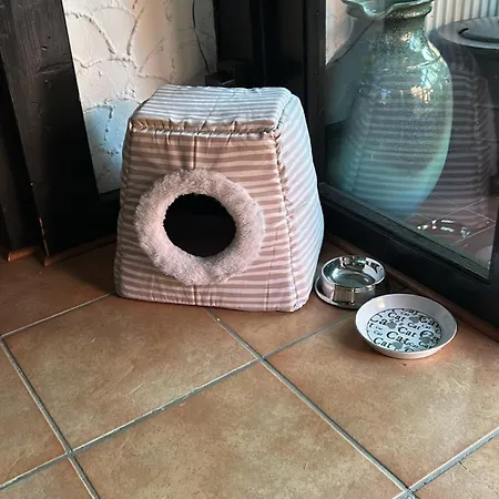 Appartement Historic Timber House